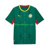 Billiga Fotbollströjor Senegal Borta tröja 2026 2027 Kortärmad